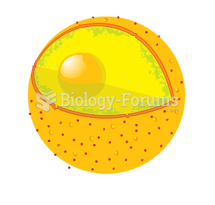 Diagram of a cell nucleus
