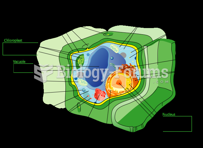 Schematic of typical plant cell