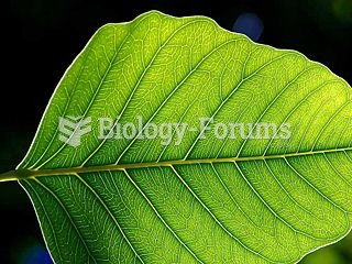 The leaf is usually the primary site of photosynthesis in plants.