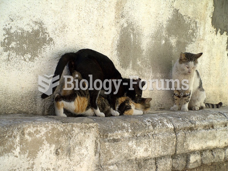 When cats mate, the tomcat (male) bites the scruff of the female's neck as she assumes a positi