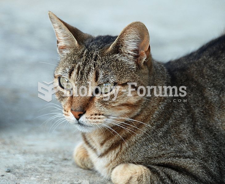 Mackerel tabby, showing the characteristic "M" on its forehead.