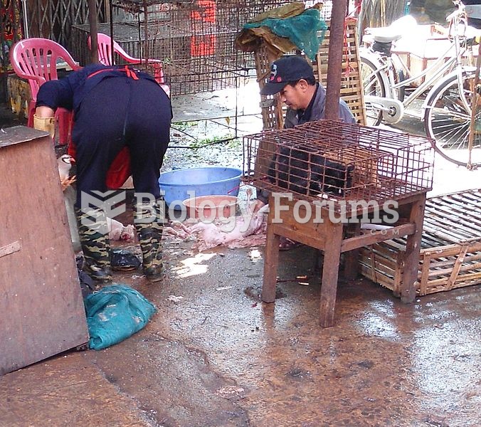 Fur being removed from cats after slaughter.