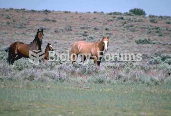 Bay (left) and chestnut (sometimes called "sorrel") are two of the most common coat colors