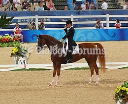 A horse and rider in dressage competition at the Olympics