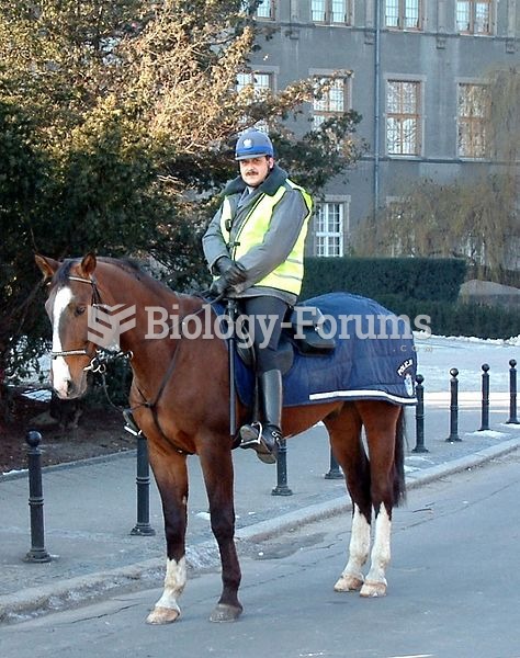 A mounted police officer in Poland