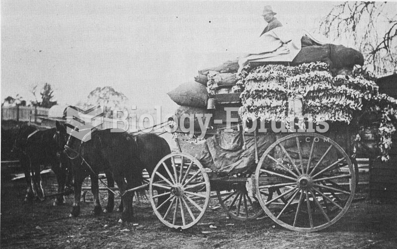 An old wooden cart, piled with rabbit skins, in New South Wales, Australia