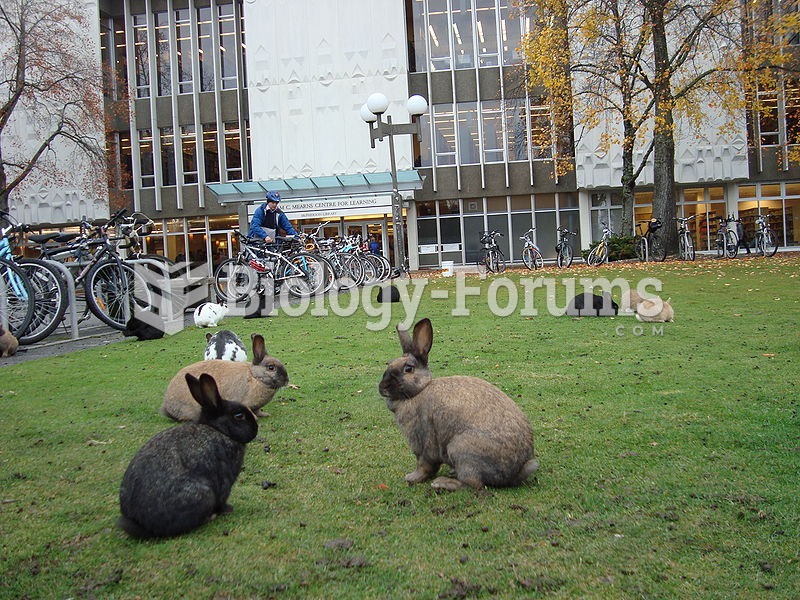 When introduced into a new area, rabbits can overpopulate rapidly, becoming a nuisance, as on this u