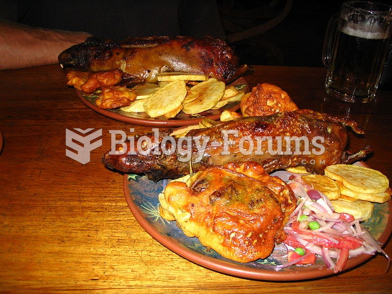 Two Peruvian dishes of cuy meat