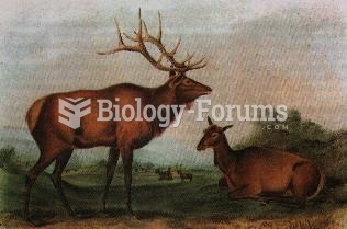 Audubon's "Eastern Elk" which is now extinct