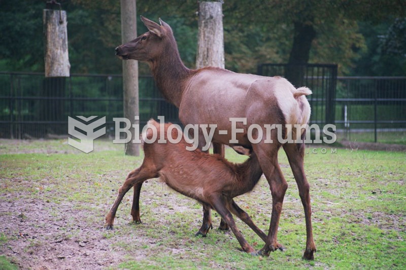 Female nursing young.