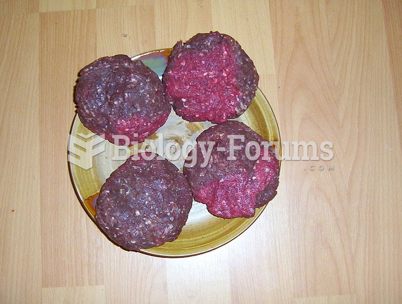Approximately 1 pound (0.45 kg) of ground elk meat formed into patties; note the relatively small fa