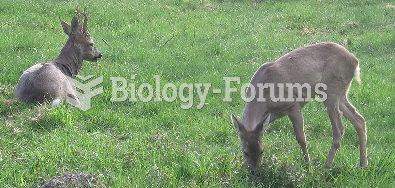 Roe deer of Eastern Europe, suit in April/May.