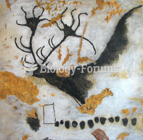 Cave painting from Lascaux