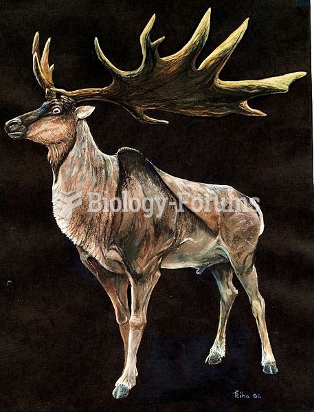 Irish Elk Restoration