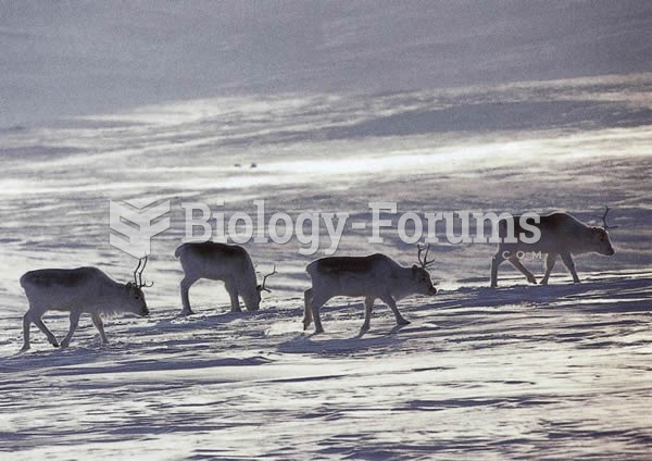 The Peary caribou is a relatively small and pale subspecies found in the tundra of far northern Nort