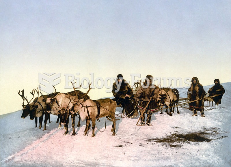 A reindeer sled, Arkhangelsk, Russia. Late nineteenth-century photochrom.
