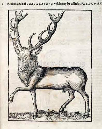 Tragelaphus or Deer-Goat