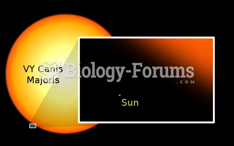 Sun and VY Canis Majoris