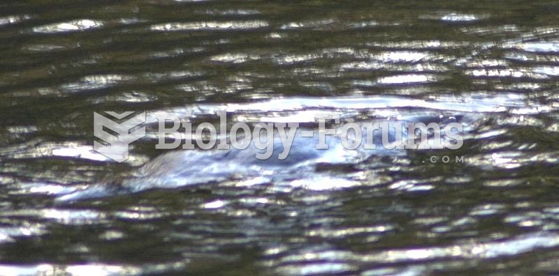 The platypus is very difficult to spot even on the surface of a river.