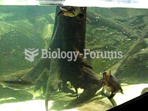 Swimming underwater at Sydney Aquarium, Australia