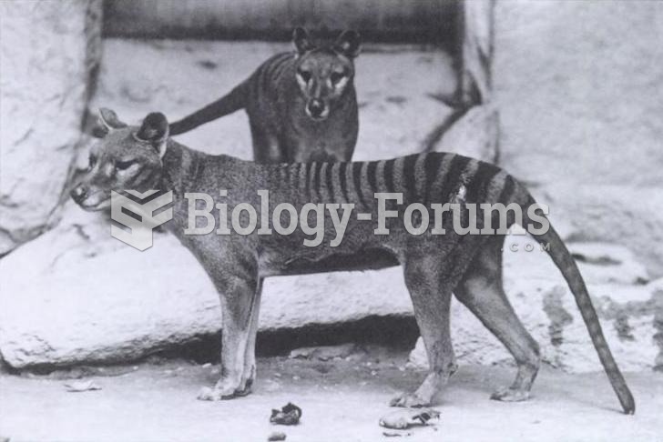 The Tasmanian Tiger became extinct in 1936