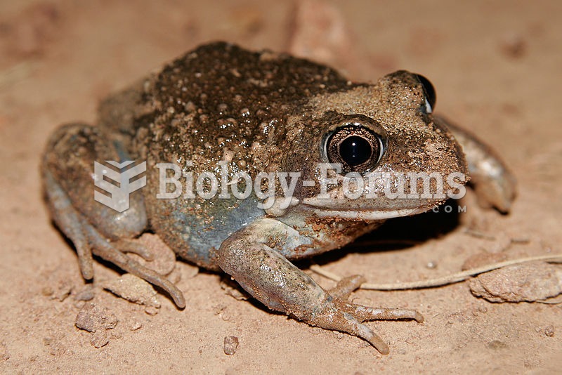 The Eastern Banjo Frog is a common frog species across eastern Australia.