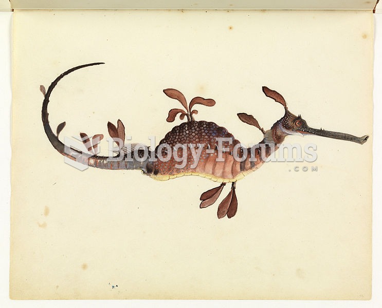 Weedy Seadragon, Phyllopteryx taeniolatus, from the Sketchbook of fishes by William Buelow Gould, 18