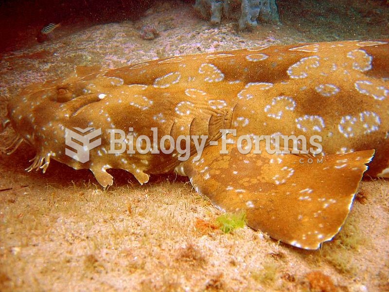 The spotted wobbegong is the largest wobbegong shark, reaching a length of around 3 m