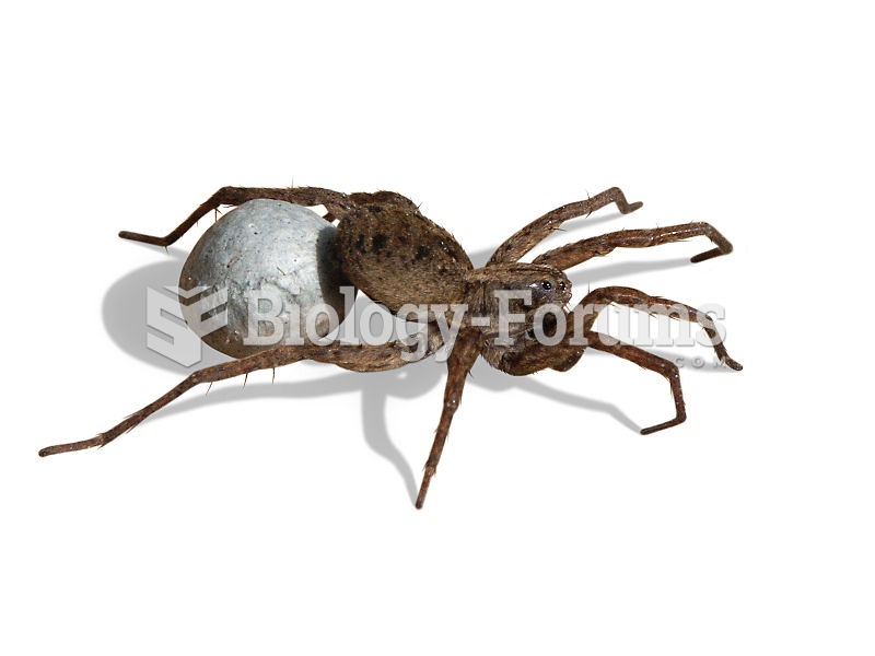 Wolf spider carrying egg sac