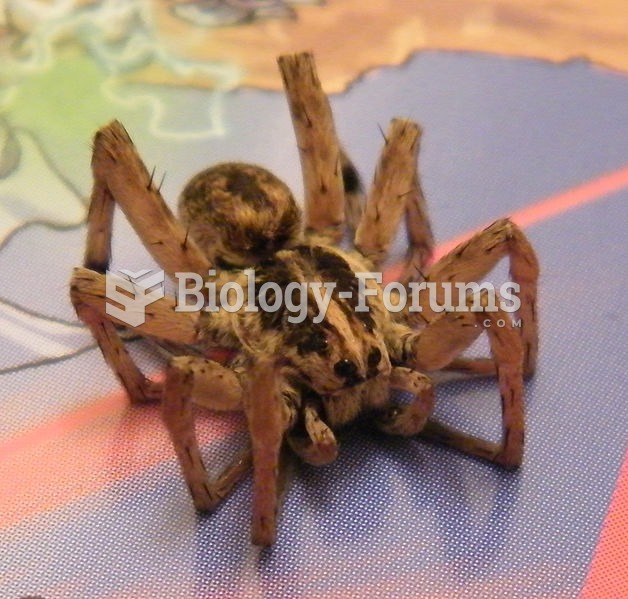 Wolf Spider in Maricopa City, Arizona, roughly 25mm (1 inch) while legs were retracted