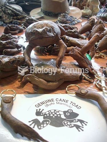 Cane toad merchandise