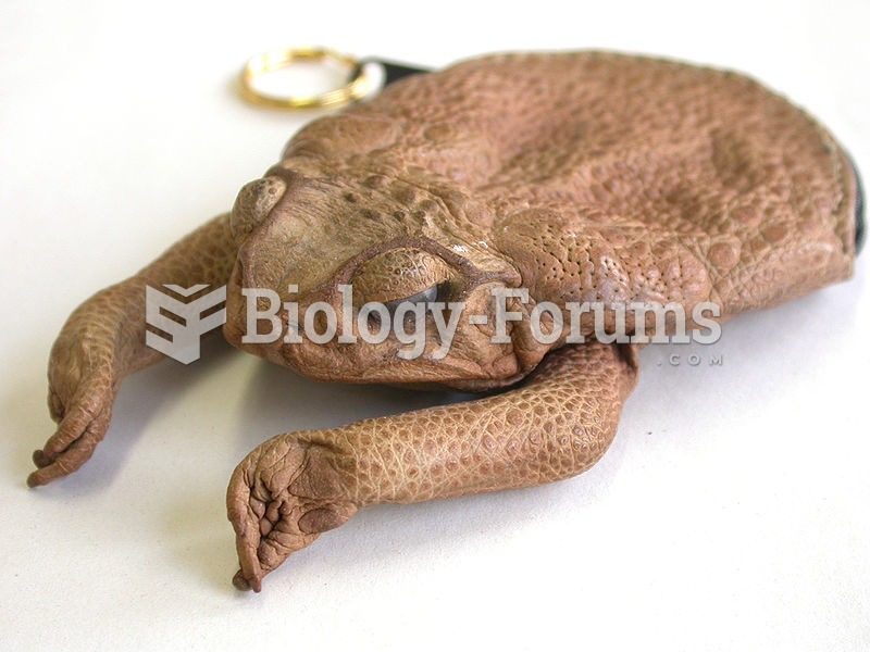 A purse made from a cane toad.