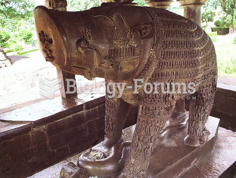 Deity form of Varaha, Khajuraho, 12th C AD