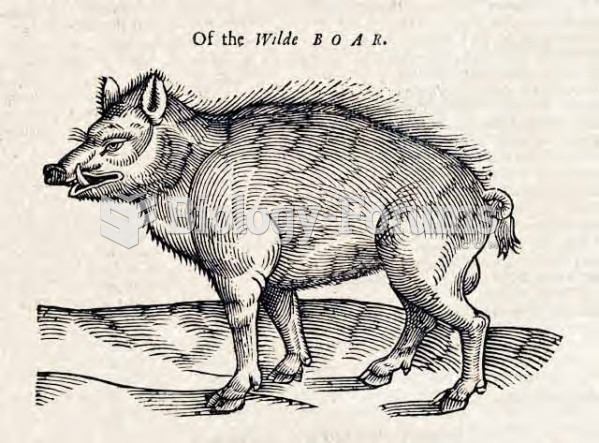 Of the Wilde Boar