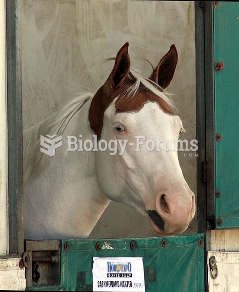 Forward ear position indicating alertness and pleasant attitude