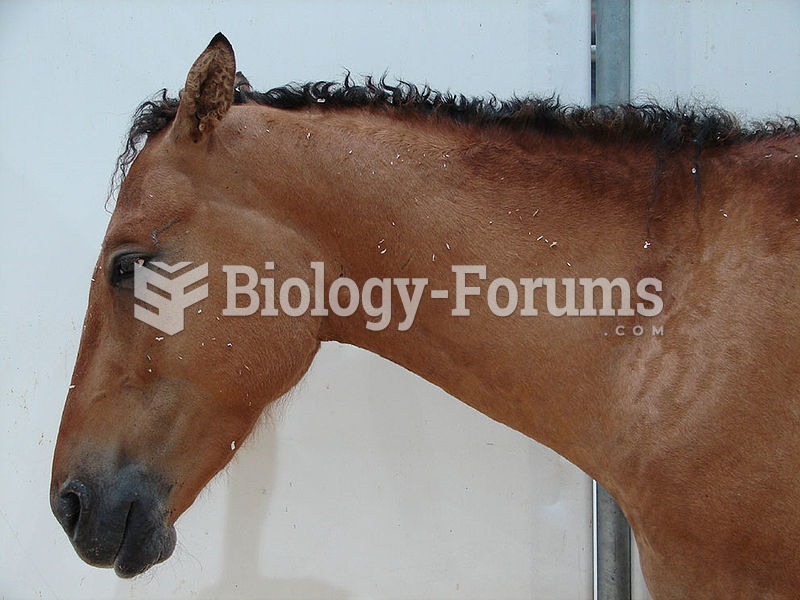 Relaxed ear position of a bored or resting horse. Lower lip is loose, also indicating relaxation. Th