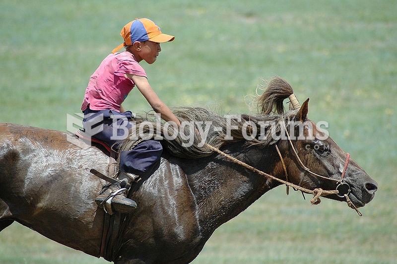 Child racing at the Naadam festival