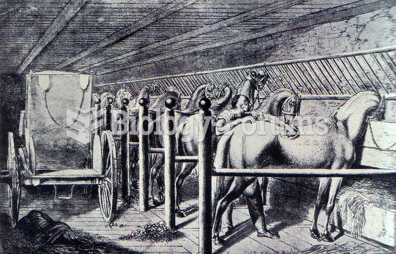 A set of tie stalls in an 18th century stable