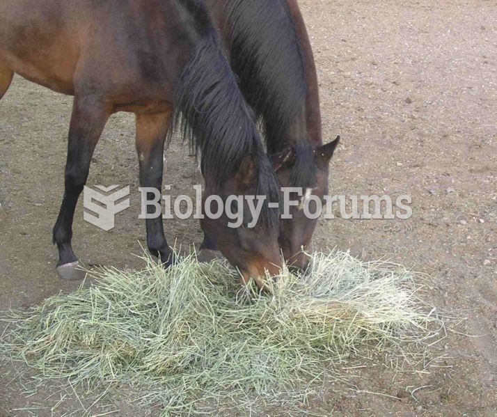 Forages, such as hay, are required by all horses