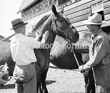 Vaccinating a horse against encephalitis, Idaho, 1940