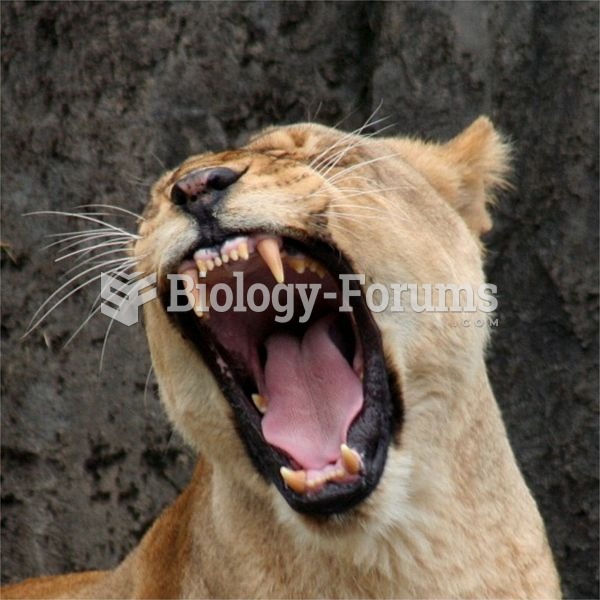 While a lioness such as this one has very sharp teeth, prey is usually killed by strangulation