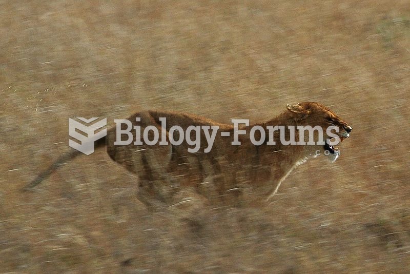 Lioness in a burst of speed while hunting in the Serengeti