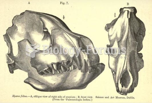 Skull of Crocuta sivalensis, an extinct Indian hyena