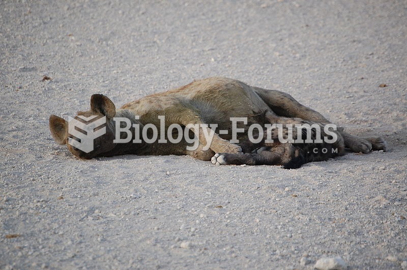 Female nursing cub, Amboseli National Park, Kenya