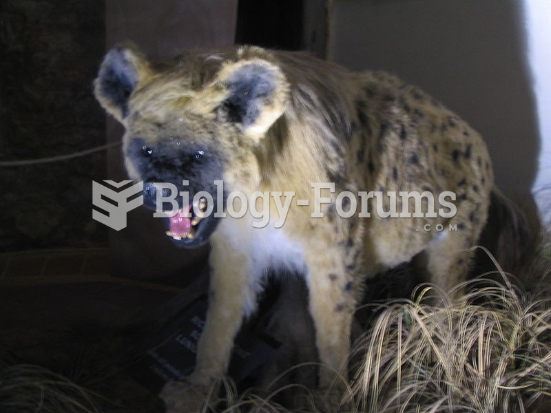 Reconstruction of cave hyena