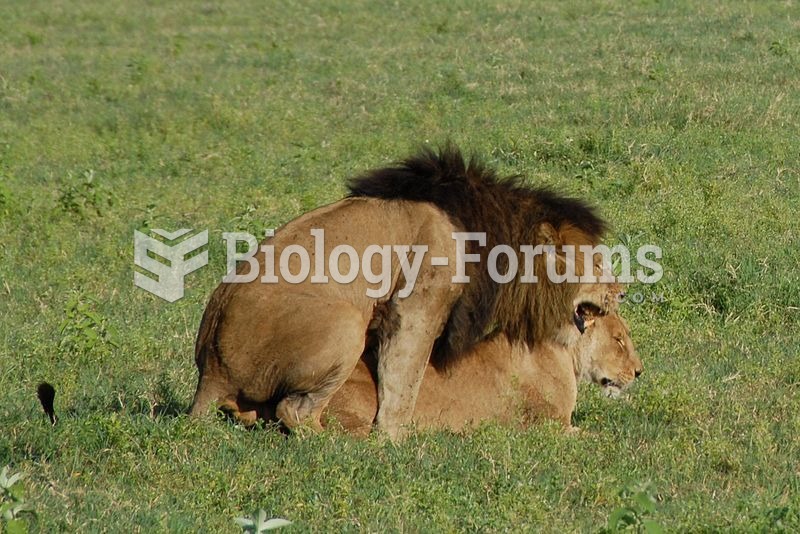 Lions mating in Ngorongoro Conservation Area, Tanzania