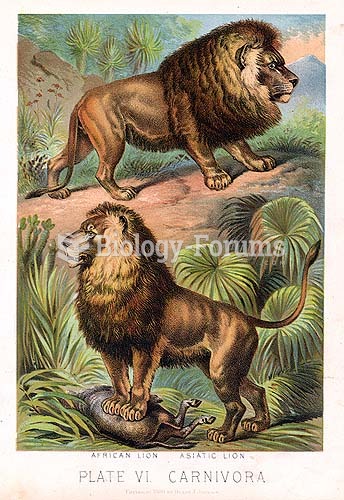 African (above) and Asiatic (below) lions, as illustrated in Johnsons Book of Nature