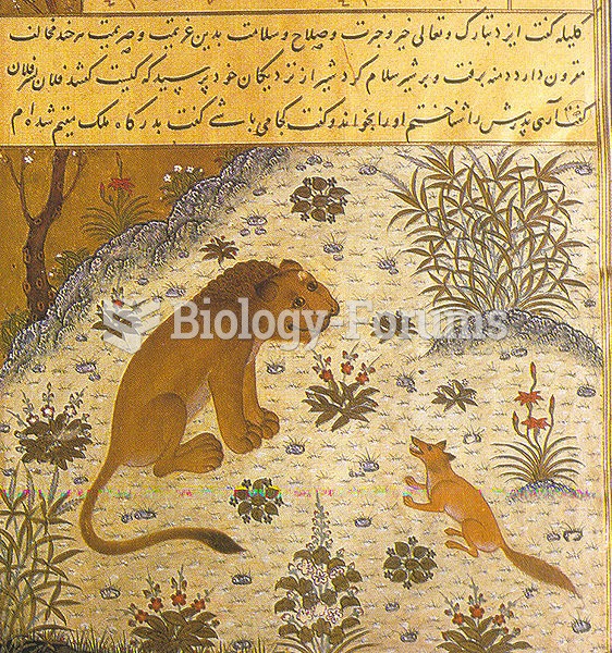 A page from Kelileh o Demneh dated 1429, from Herat, a Persian translation of the ancient Indian Pan