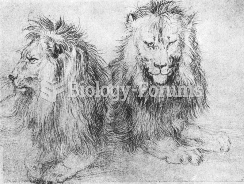 Albrecht Durer, Lions sketch. Circa 1520