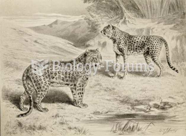 Comparative illustration of a leopard (left) and cheetah (right)